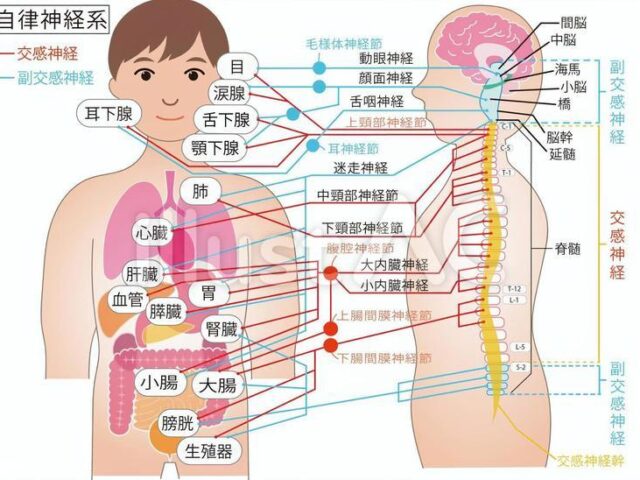 気温差による自律神経の乱れと身体の不調